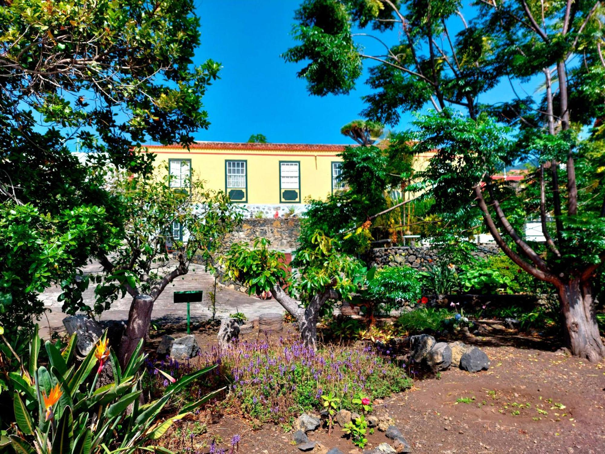 Villa Asuncion A Breña Baja المظهر الخارجي الصورة